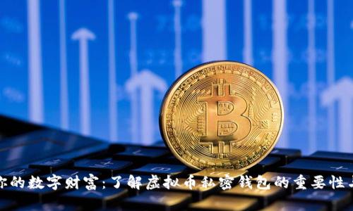 保护你的数字财富：了解虚拟币私密钱包的重要性与选择