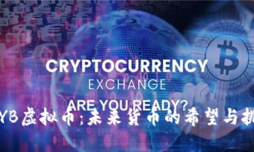 TPYB虚拟币：未来货币的希望与挑战