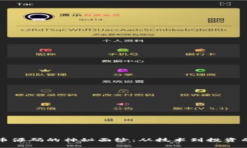 揭开虚拟币源码的神秘面纱：从技术到投资的全景探索