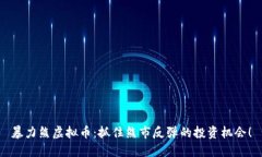 暴力熊虚拟币：抓住熊市反弹的投资机会！