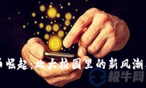 虚拟币崛起：北大校园里的新风潮与挑战