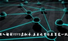 深入解析VSYS虚拟币：未来之星还是昙花一现？