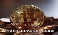 大田虚拟币：未来金融的黑马还是泡沫？