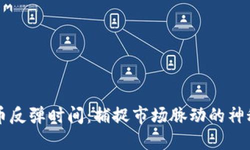 虚拟币反弹时间：捕捉市场脉动的神秘时刻