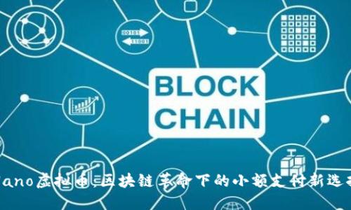 Nano虚拟币：区块链革命下的小额支付新选择