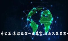 虚拟币公募：真能让你一夜暴富，还是只是昙花