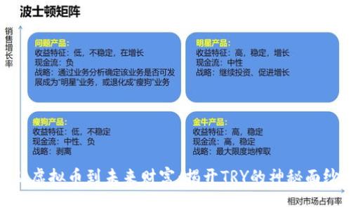从虚拟币到未来财富：揭开TRY的神秘面纱