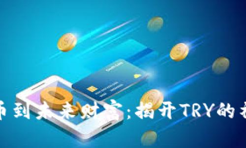 从虚拟币到未来财富：揭开TRY的神秘面纱