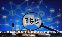 Feel虚拟币：数字货币的未来趋势与文化交融