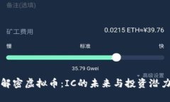 解密虚拟币：IC的未来与投资潜力
