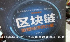 揭秘EC虚拟币：下一个区块链投资机会，还是泡沫