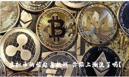虚拟币的崛起与挑战：你跟上潮流了吗？