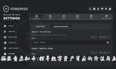 中国最贵虚拟币：探寻数字资产背后的价值与未