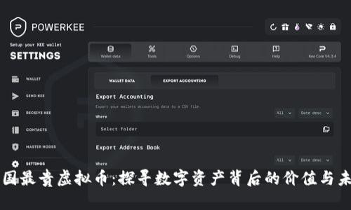 中国最贵虚拟币：探寻数字资产背后的价值与未来