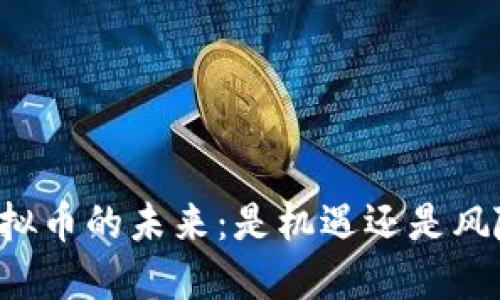虚拟币的未来：是机遇还是风险？