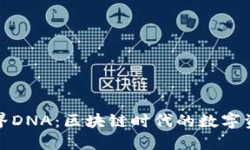 探索TP钱包与元界DNA：区块链时代的数字资产管理解决方案
