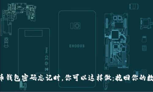 当虚拟币钱包密码忘记时，你可以这样做：挽回你的数字资产！