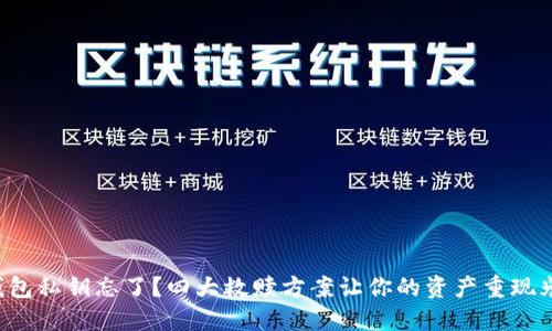 TP钱包私钥忘了？四大救赎方案让你的资产重现光辉！