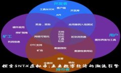 探索SNTX虚拟币：未来数字经济的潮流引擎