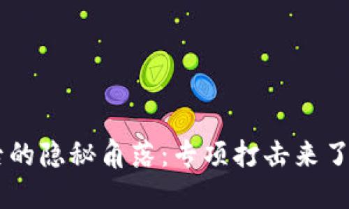 虚拟币火爆背后的隐秘角落：专项打击来了，你准备好了吗？