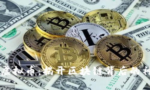 探索TIN虚拟币：揭开区块链背后的神秘面纱！