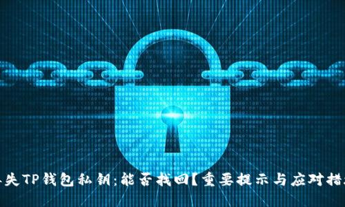 丢失TP钱包私钥：能否找回？重要提示与应对措施