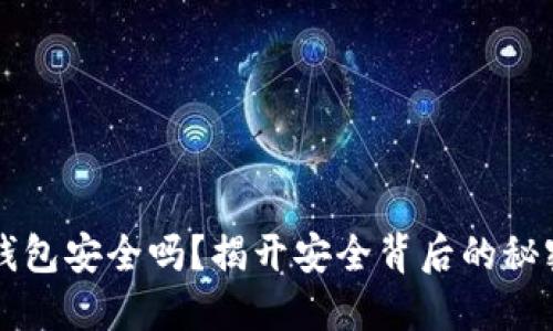 虚拟币钱包安全吗？揭开安全背后的秘密与误区