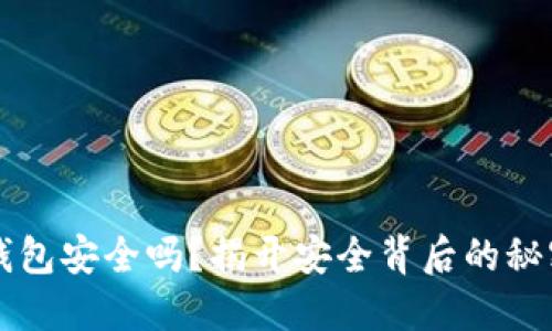 虚拟币钱包安全吗？揭开安全背后的秘密与误区