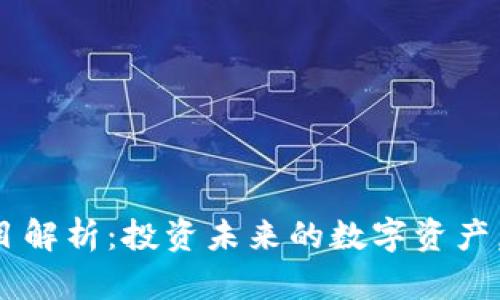 顶级虚拟币项目解析：投资未来的数字资产，你准备好了吗？